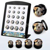 brpg175 board of black acrylic screw fit plug with bulldog puppy