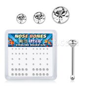 nbbxmc2 silver nose bones clear