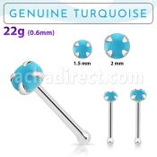 nbpge7 925 silver nose bone w turquoise