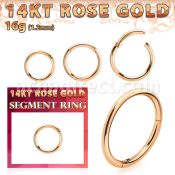 rsegh16 14k rose gold hinged segment ring 16g