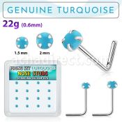 s16pge7 box w 16 silver nose studs w 2mm round turquoise stone