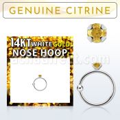 whge6 14kt white gold nose hoop w 2mm prong set citrine stone