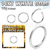 wsegh16 14k white gold hinged segment ring 16g