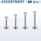 blk03e surtido piercings 60 labrets acero quirurgico 1mm bola 2mm distribuidor