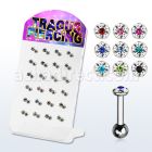 dacb118 pequeno display 24 barbells tragus acero quirurgico 3mm cristal ferido claros punto color centro bola 3mm 6mm 8mm distribuidor