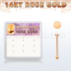 drnb27 caja 12 piercing nariz hueso oro rosa 14 kts 0 6mm redonda 1mm al por mayor