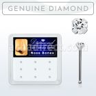 dwnb13 al por mayor caja 12 piercing nariz hueso oro blanco 14 kts 0 6mm zirconia formas cuadrado estrella tri corazon al por mayor