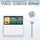 dwnb3 caja display 12 piercing nariz hueso oro blanco 14 kts 0 6mm zirconia redonda clara 1 5mm mayorista