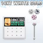 dwnb7 caja display 12 piercing nariz hueso oro blanco 14 kts 0 6mm zirconia redonda 1 5mm mayorista