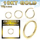 gisegh16 10k gold hinged segment ring 16g