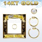 gnrz2 aro nariz oro 14 kts zirconia clara redonda 2mm venta