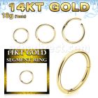 gsegh18 14k gold hinged segment ring 18g
