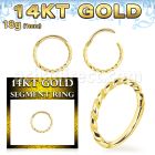 gsghb18 14k gold hinged segment ring 18g twisted wire