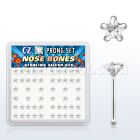 nbzsc caja display piercing nariz hueso plata esterlina 925 0 6mm zirconia claras estrella 3mm mayorista