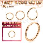 rsegh16 14k rose gold hinged segment ring 16g