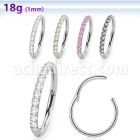 sgshs10 316l steel hinged segment ring 18g cnc set cz
