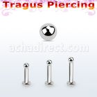 tlbb2 labret tragus acero 316l base redonda 2 5mm tragus piercing bola 2mm distribuidor