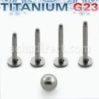 uset04 set labrets primera puesta titanio g23 incluye 4 barras labret de 8 10 11 12mm bola 3mm distribuidor mayorista