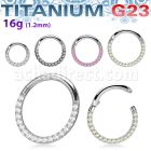 usgsh11 titanium g23 hinged segment ring 16g cz side
