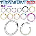 usgsh11 titanium g23 hinged segment ring 16g cz side