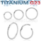usgsh41 titanium hinged segment ring 16g pyramids side