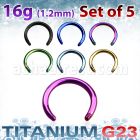 xutcb16 set 5 barras barbell circular titanio g23 anodizado 5mm gtrosor al por mayor