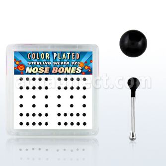 nbkbbx2 box w silver nose bones, w 2mm black plated ball tops