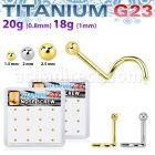 bxuns5 box w titanium g23 nose screws 20g w 2mm ball shaped tops