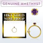 ghge1 14kt gold nose hoop w a 2mm prong set amethyst stone