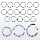 segh16j 316l steel hinged segment ring with crystals