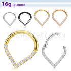 sgsh15 316l steel hinged segment ring round cz pear shape