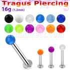 tlbvb25 316l steel tragus labret 16g w a 2.5mm acrylic uv ball 
