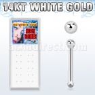 wgnbbx box of rhodium plated 14k white gold ball nose bones