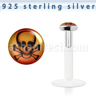BILG6