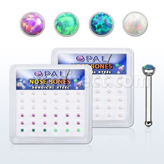 bxbop3 box w anodized 316l steel nose bone w opal top