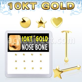 DGINB10