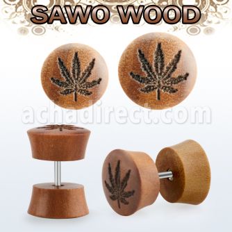 IPLSWB