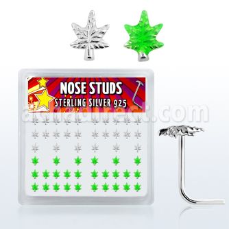 nsma box of silver nose studs with silver green marijuana