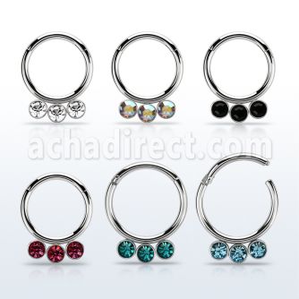 segh16f 316l steel hinged segment ring 16g w crystal