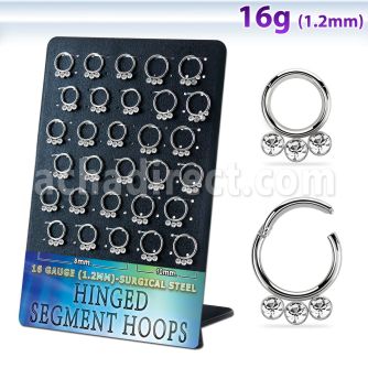brsegh15 display unidades aro segmento bisagras acero cristales color claro
