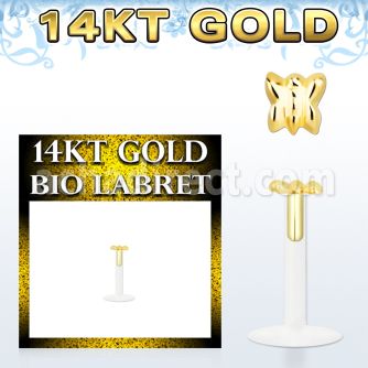 gbibt labret bio flexible distribuidor
