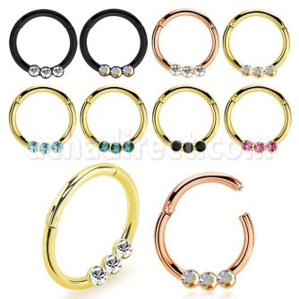 seght16e aro segmento bisagra acero quirurgico anodizado pequenos cristales
