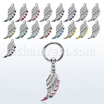 bcrg568 aro bola presion acero 316l las alas pajaro s cristal borde distribuidor mayorista