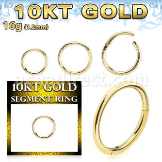 gisegh16 10k gold hinged segment ring 16g