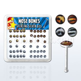 nblgx6 caja display piercing nariz hueso plata esterlina 925 0 6mm logos variados rayas tigre leopardo distribuidor mayorista
