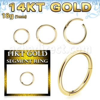 gsegh18 14k gold hinged segment ring 18g