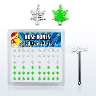 nbma caja display piercing nariz hueso plata esterlina 925 0 6mm hojas marihuana plata lista color verde distribuidor
