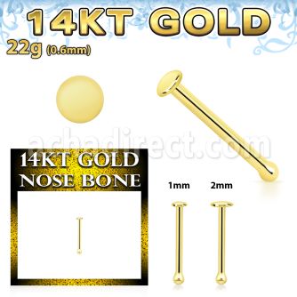 gbrd 14kt gold nose bone with a 2mm plain gold round top