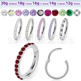 sgsh10 316l steel hinged segment ring cz stones