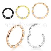 sgsh25 pvd steel hinged segment ring 16g cz diamond pattern